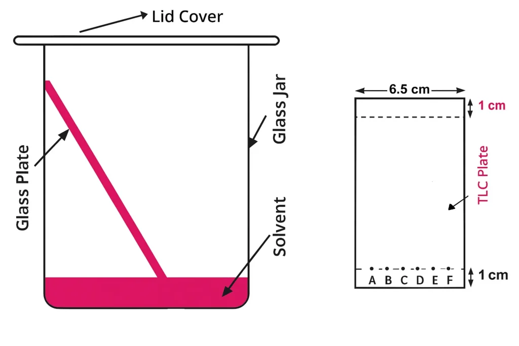 Detect the presence of different lipid components in an oil by TLC